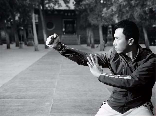 Donnie Yen