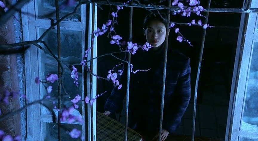 Treasure Hunt (Jeffrey Lau, 1994)