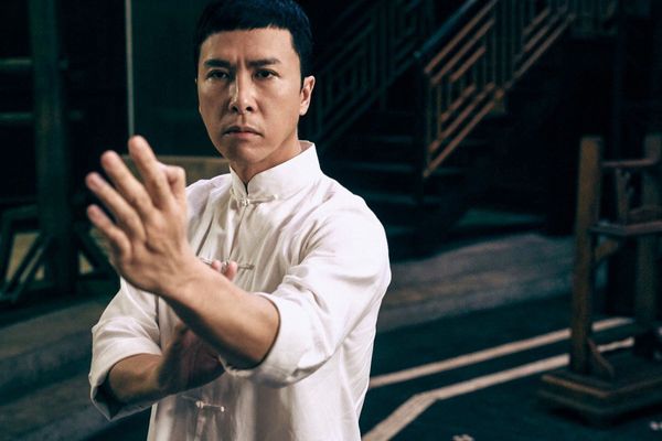 Donnie Yen Capsule Reviews